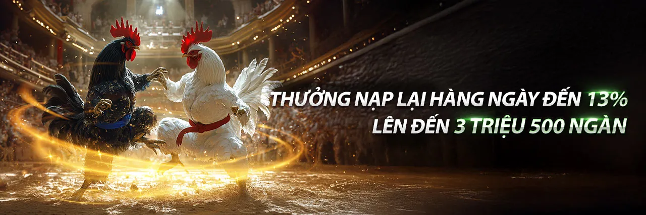 Cam kết bảo vệ dữ liệu GDPR tại SV3888